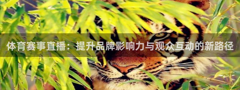 咪咕高清免费直播：体育赛事直播：提升品牌影响力与观众互动的新路径