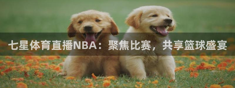 咪咕免费体育直播：七星体育直播NBA：聚焦比赛，共享篮球盛宴
