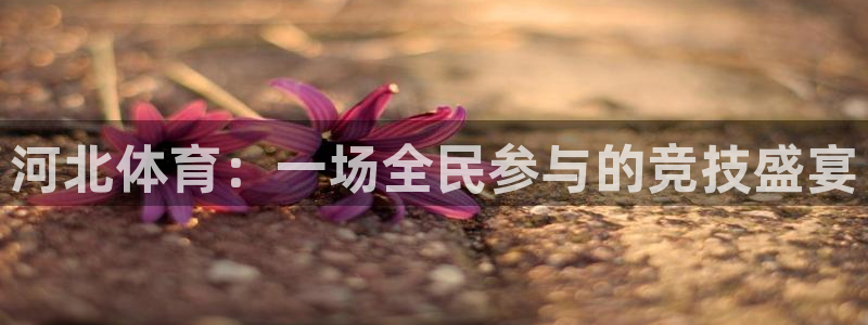 咪咕体育直播app下载：河北体育：一场全民参与的竞技盛宴