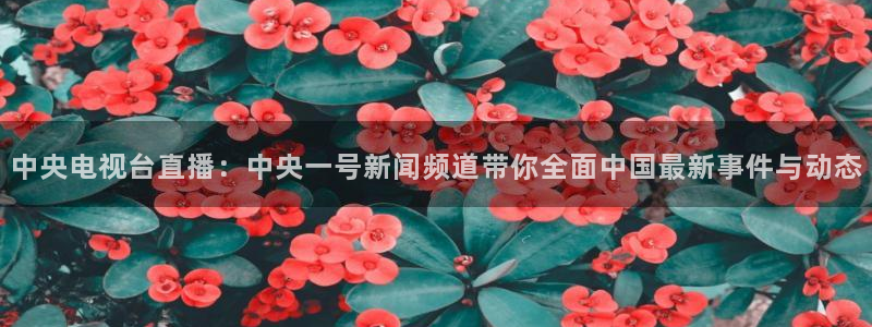咪咕视频体育直播郑钦文今天：中央电视台直播：中央一号新闻频道带你全面中国最新事件与动态